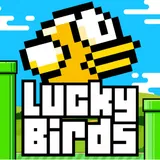 Lucky Birds